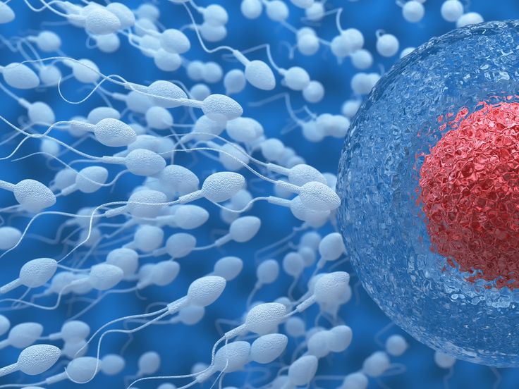 IVF Center in Jaipur