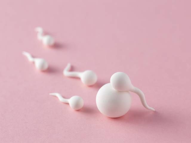 IVF Center in Jaipur